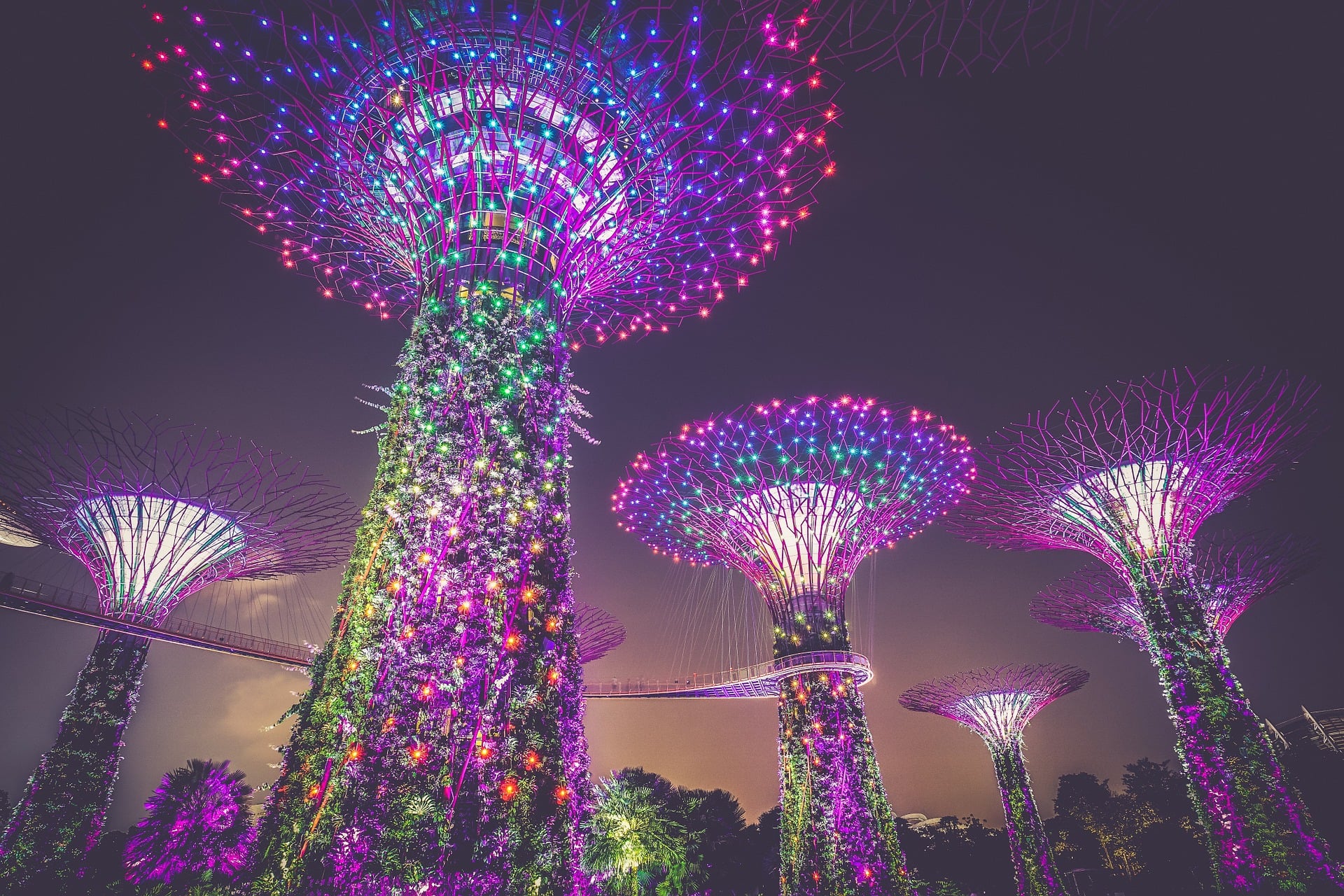 Kosmiczne ogrody Gardens by the Bay w Singapurze