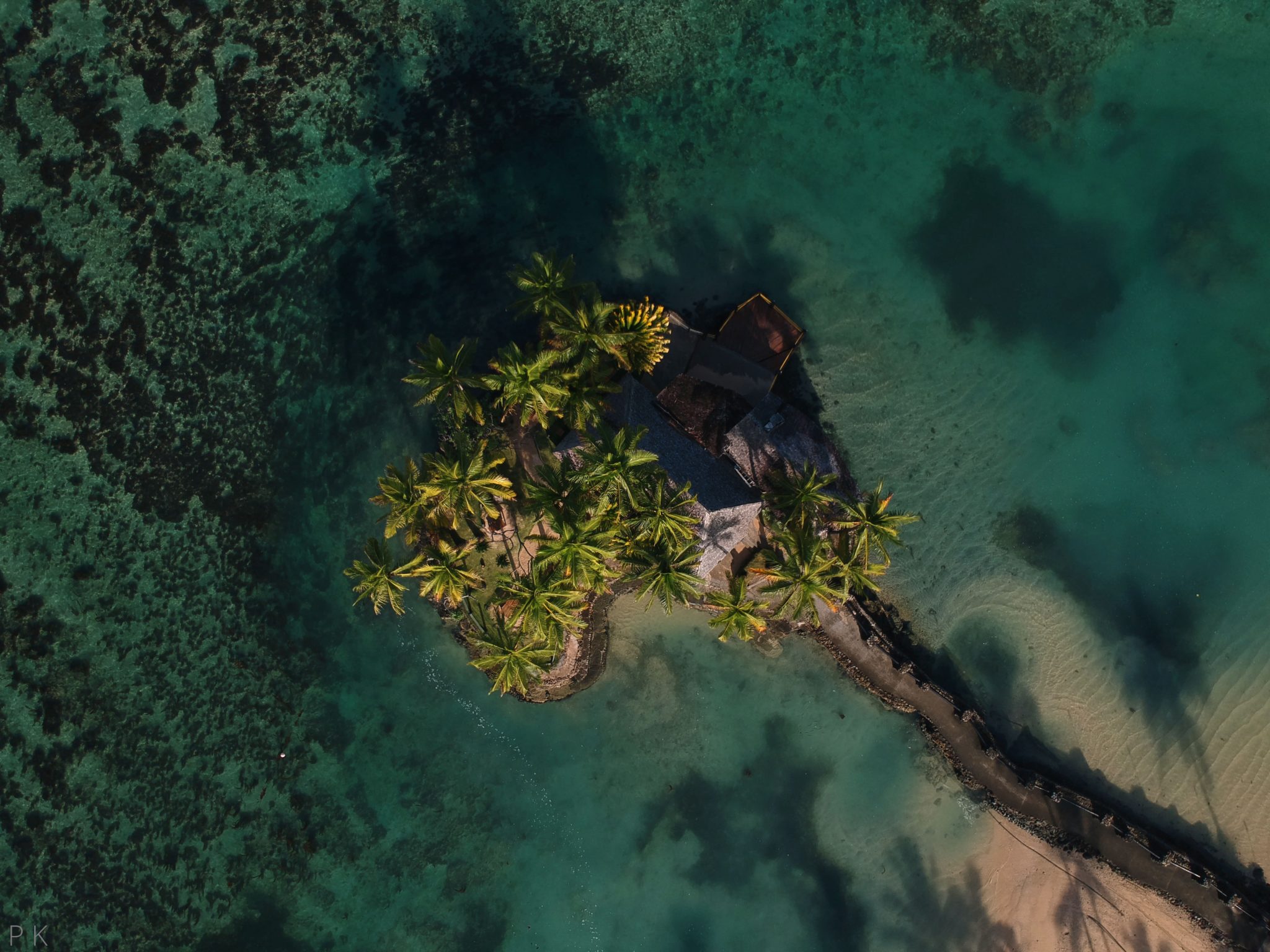 Fiji, państwo wyspiarskie, wyspa, wyspy, woda, plaża, ocean, Ocean Spokojny, palmy, woda