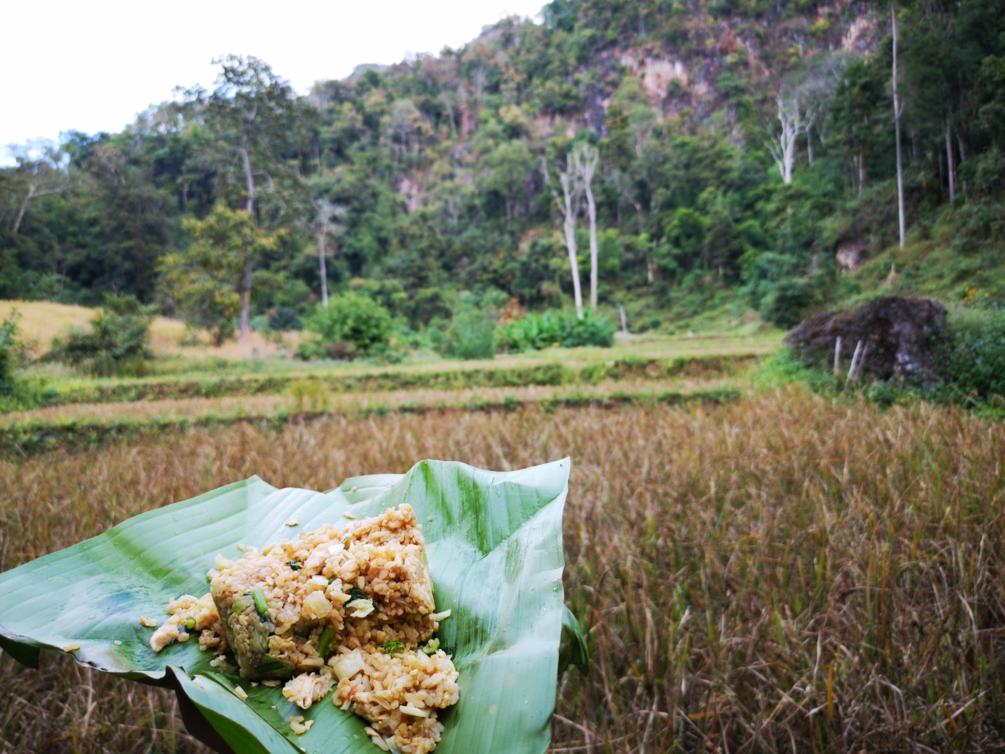 Tajlandia trekking jaskinie pola ryżowe wyprawa