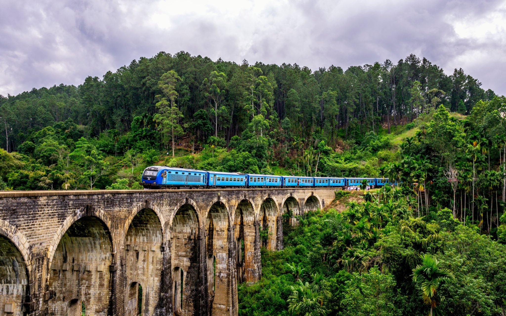 Sri Lanka, most, pola herbaciane, pociąg, kolej, przejazd, transport, panorama, dżungla, roślinność