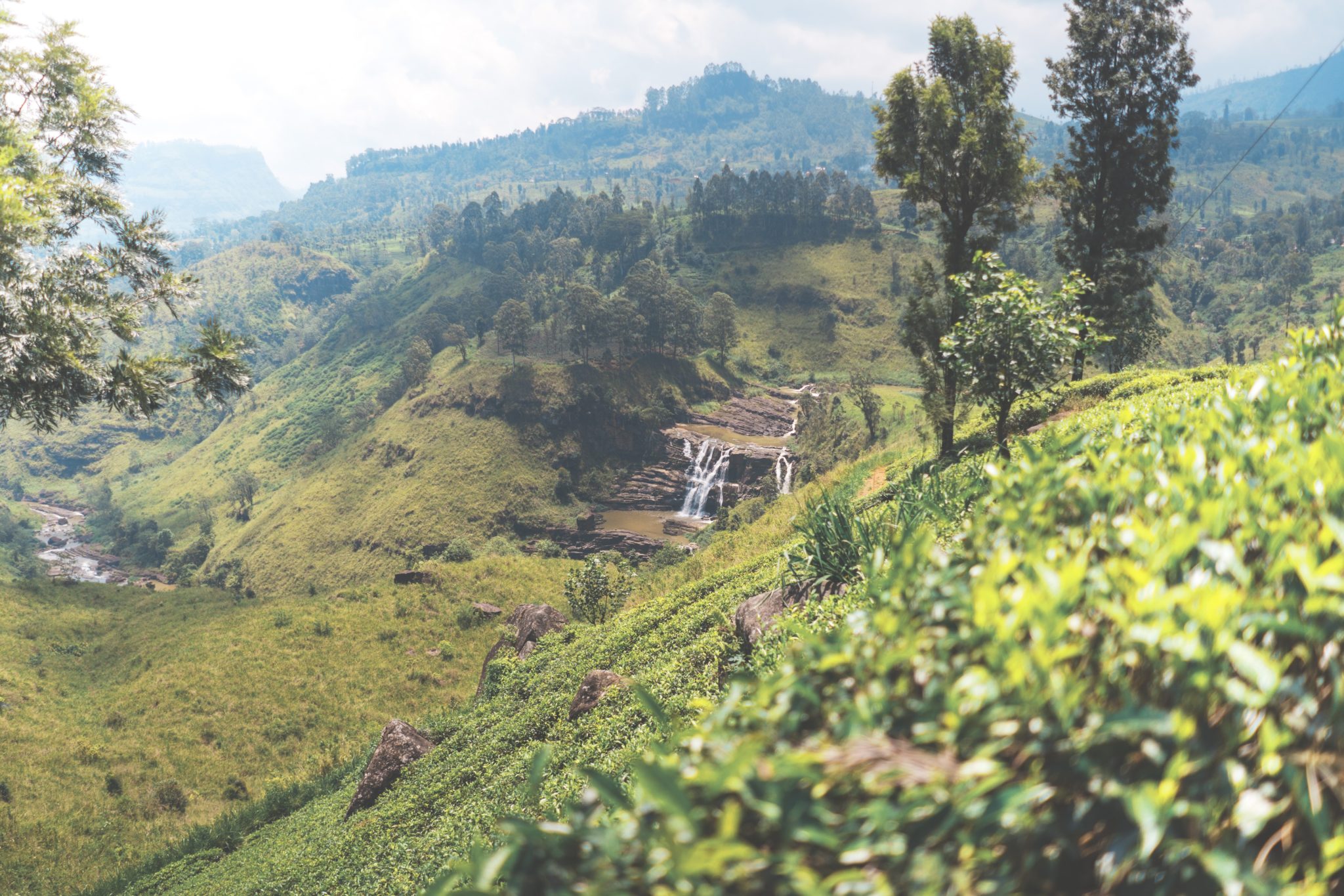 Sri Lanka, wodospad, pole herbaty, pole, herbata, pole herbaciane, pole uprawne, woda, strumień, panorama
